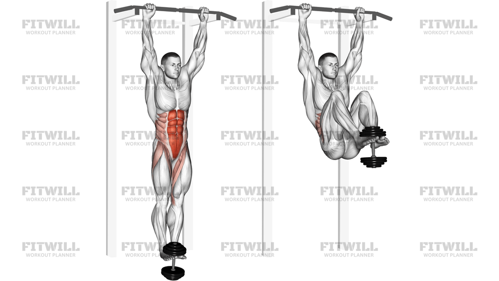 Weighted Hanging Leg-Hip Raise