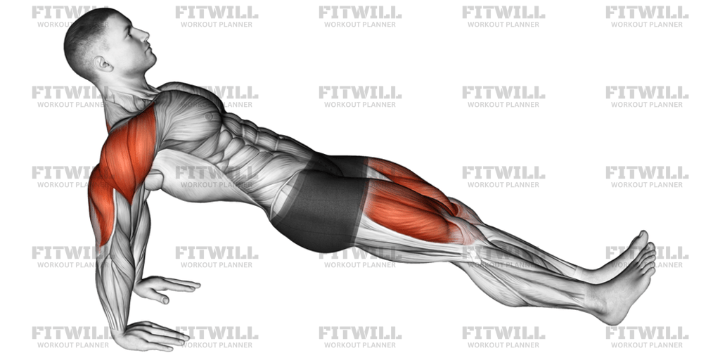Reverse Plank: Exercise Guide, Video, Techniques, Benefits, How to ...