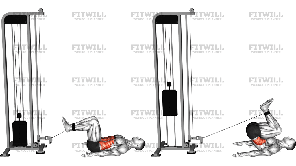 Cable Reverse Crunch