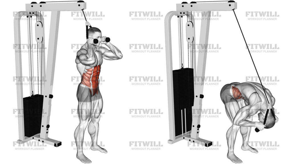 Cable Rope Standing Crunch