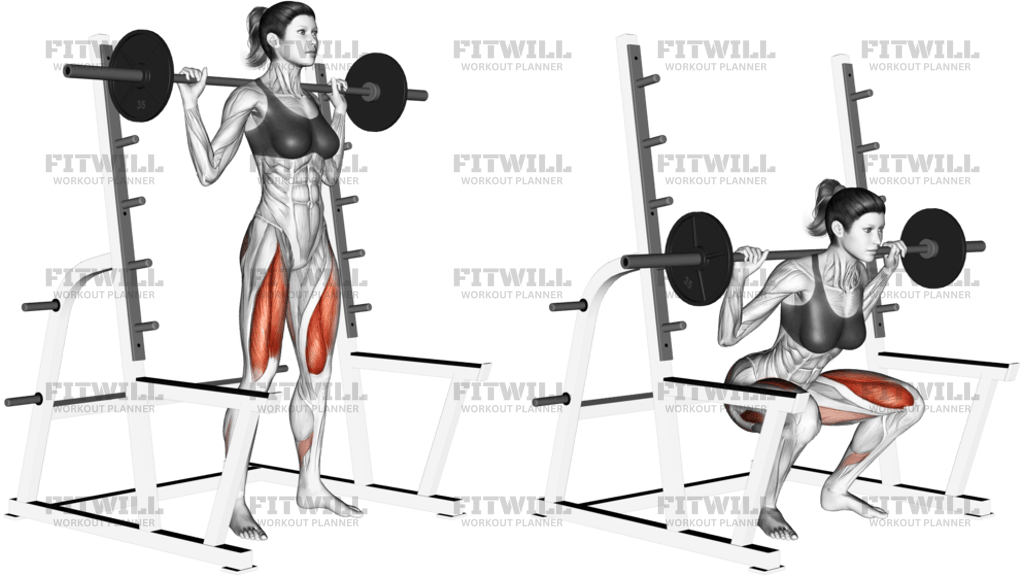 Barbell Full Squat With Rack