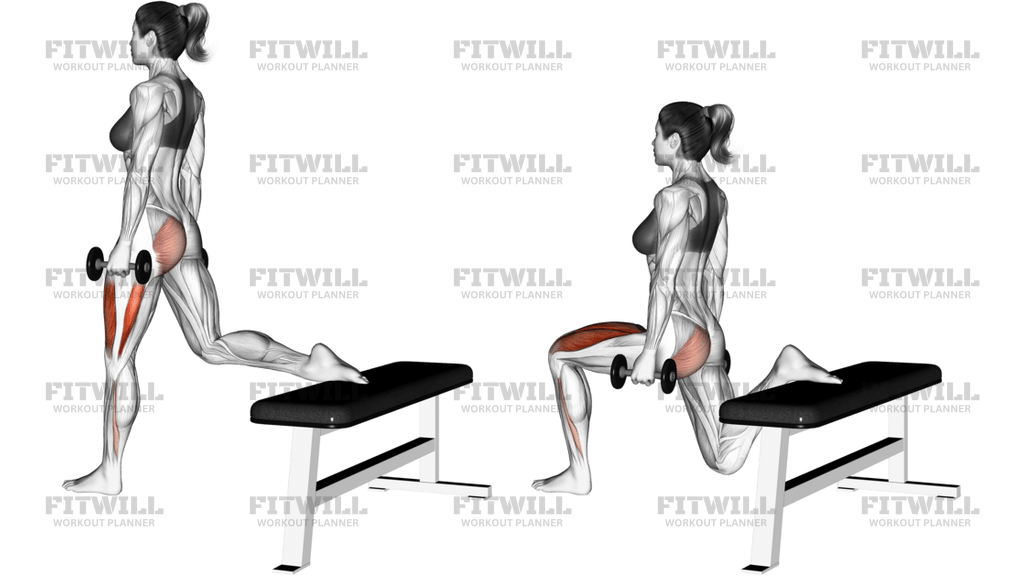 Dumbbell One Leg Squat