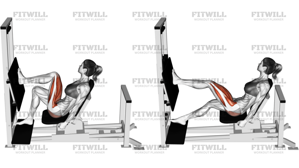 Lever Horizontal One Leg Press