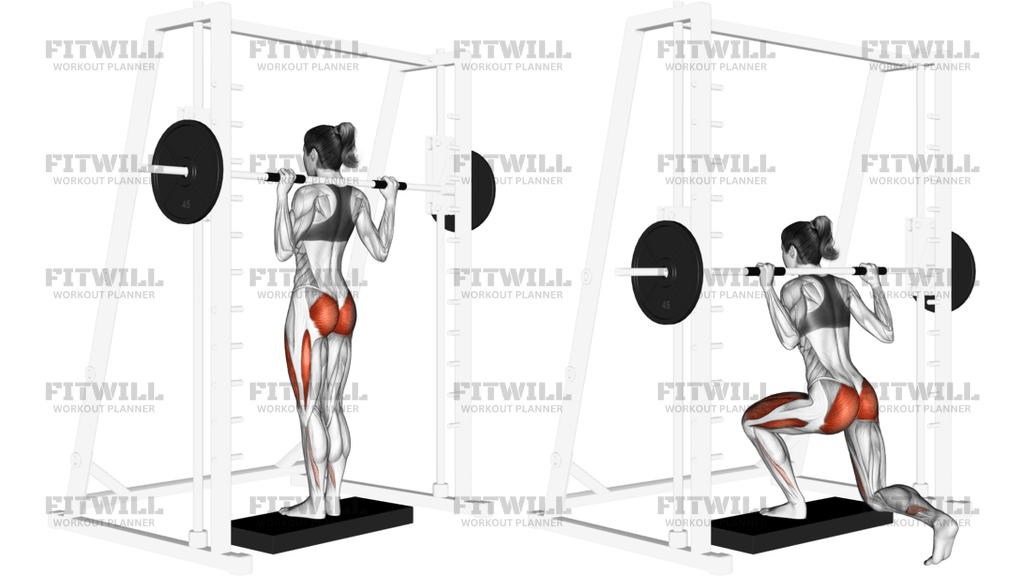 Smith Rear Lunge Version 2