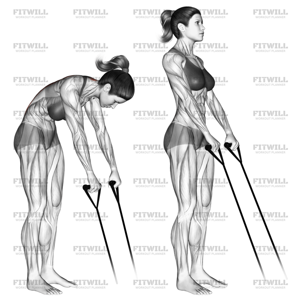 Resistance band back extension hotsell