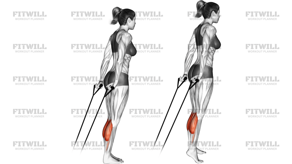 Band Calf Raise
