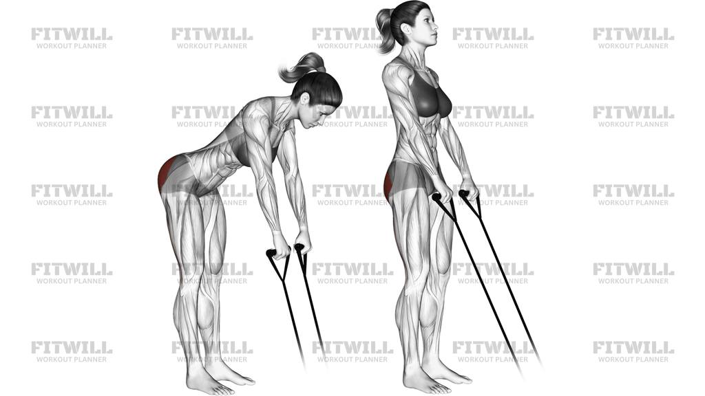 Band Hip Extension