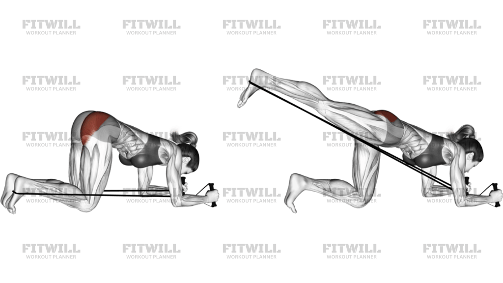 Band Kneeling Rear Kick