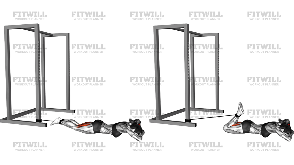 Band Lying Leg Curl