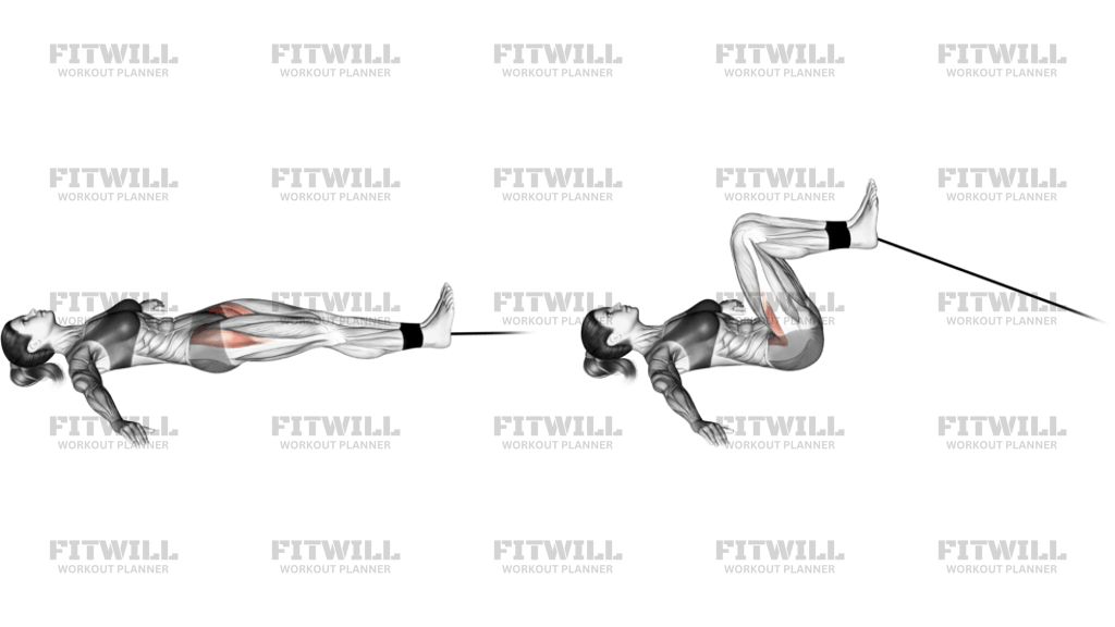 Band Lying Leg Raise