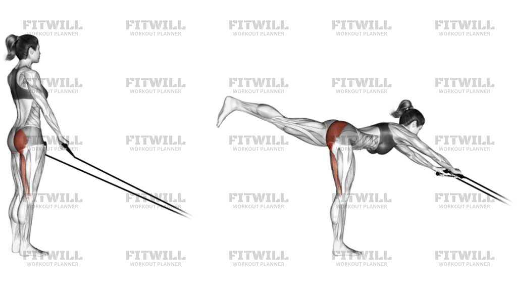 Band Single Stiff Leg Deadlift