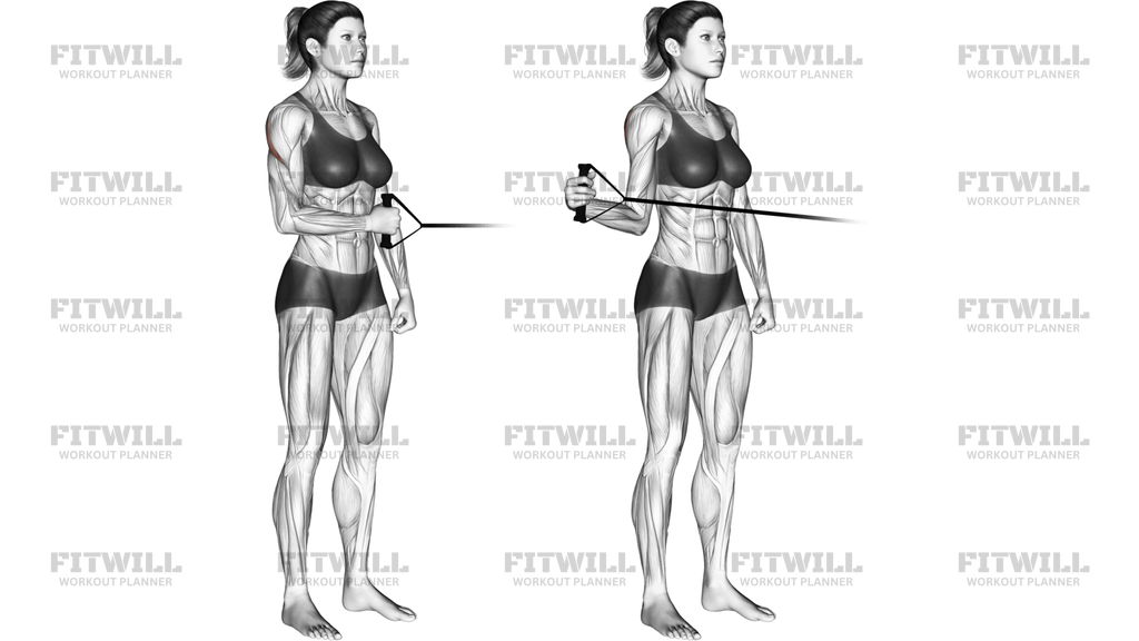 Band Standing External Shoulder Rotation