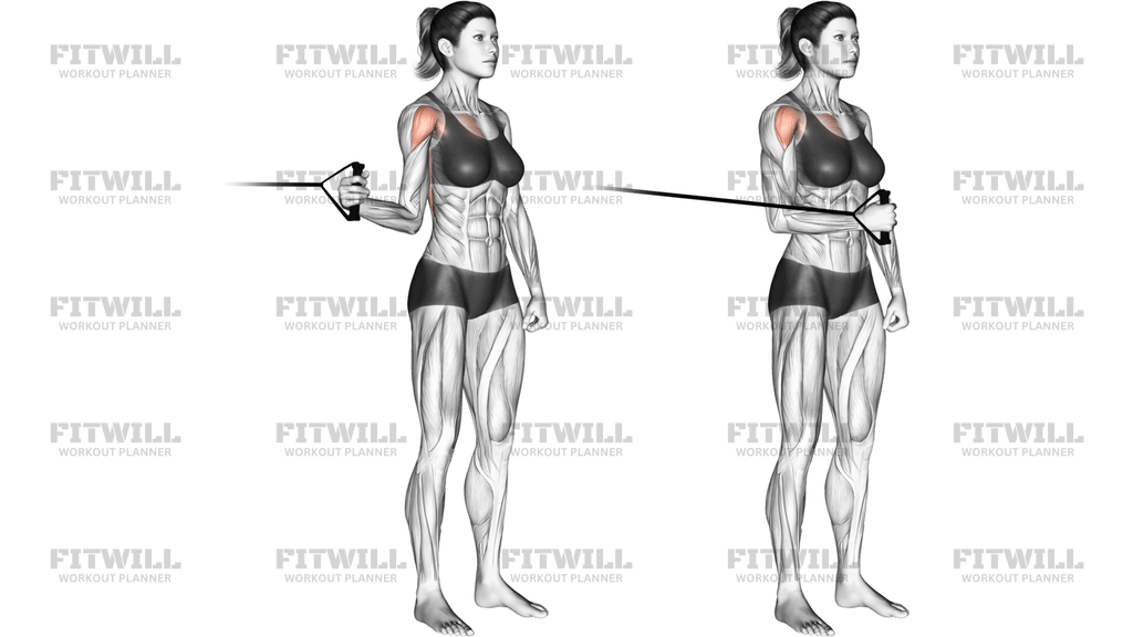Band Standing Internal Shoulder Rotation