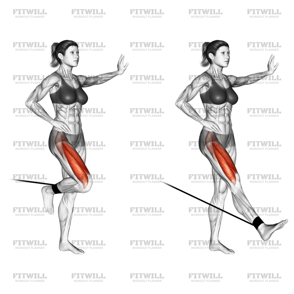 Band Standing Leg Extension Exercise Guide Techniques Benefits How to Muscles Worked Tips Tricks Fitwill