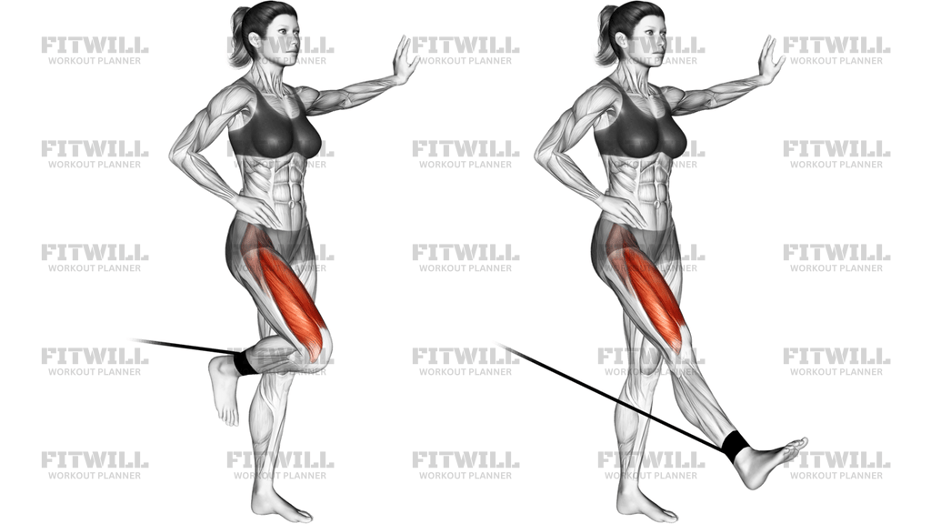 Band Standing Leg Extension