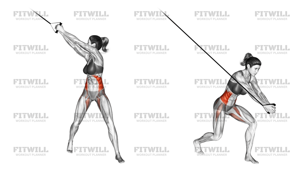 Band Twist (up-down): Exercise Guide, Video, Techniques, Benefits, How ...