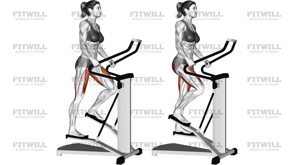 Lever Stepper