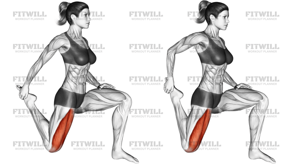 Quadriceps Stretch