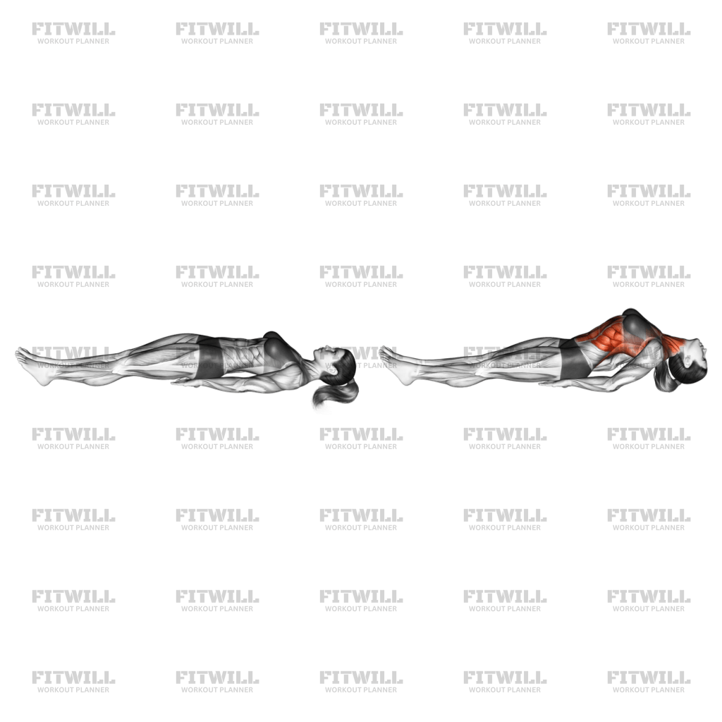 Fish Pose Matsyasana: Exercise Guide, Techniques, Benefits, How to ...