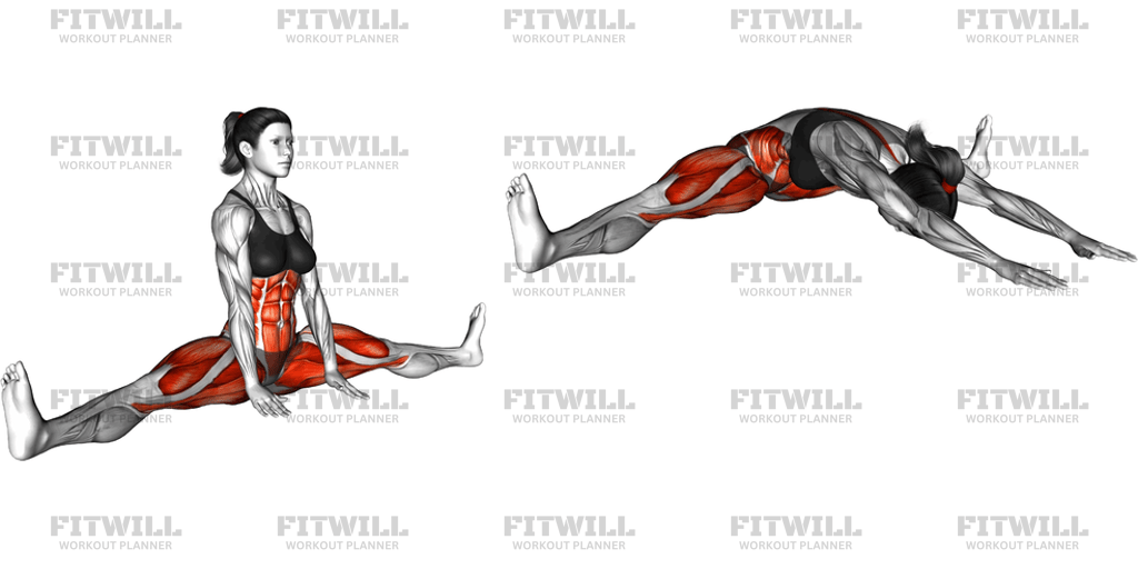 Spread Leg Forward Fold Upavista Konasana: Exercise Guide, Techniques ...