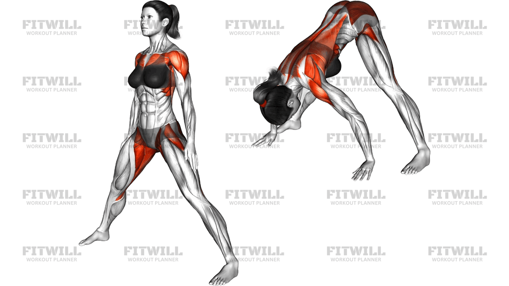 Wide Legged Forward Bend Prasarita Padottanasana