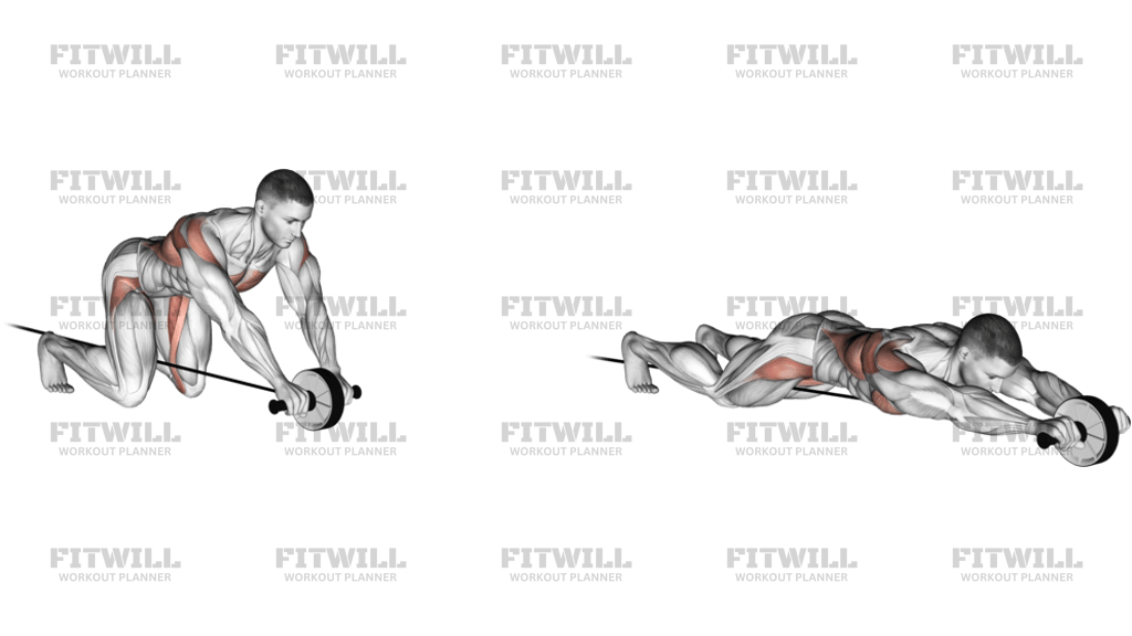 Ab Wheel Rollout Com Elástico