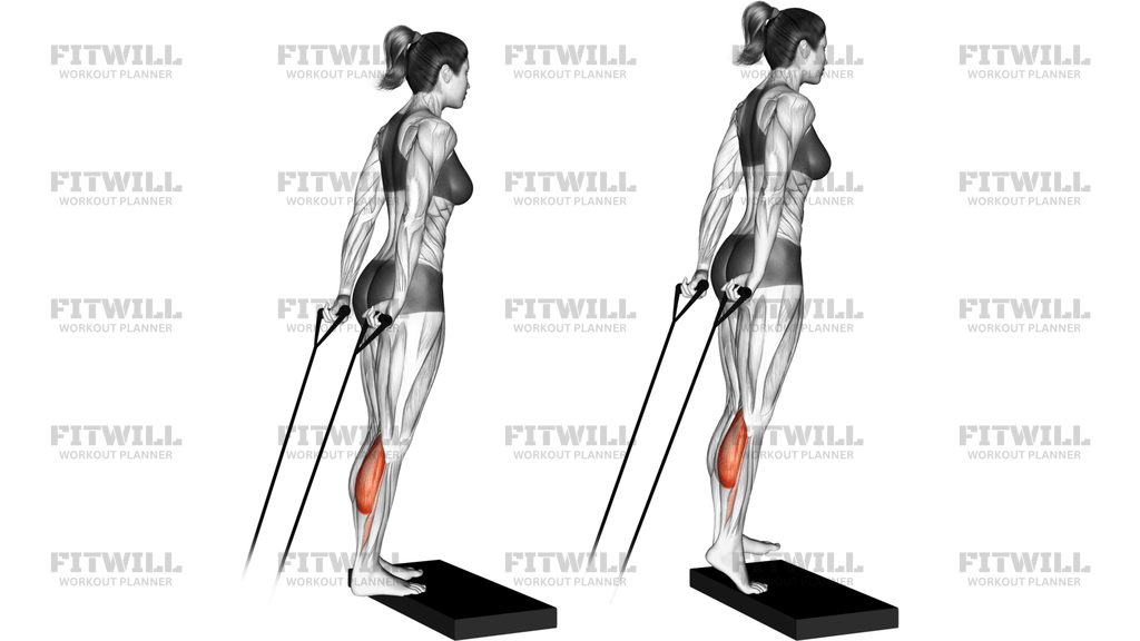 Band Calf Raise Version 2