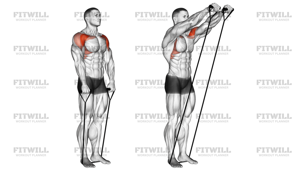 Band Front Raise: Exercise Guide, Video, Techniques, Benefits, How to ...
