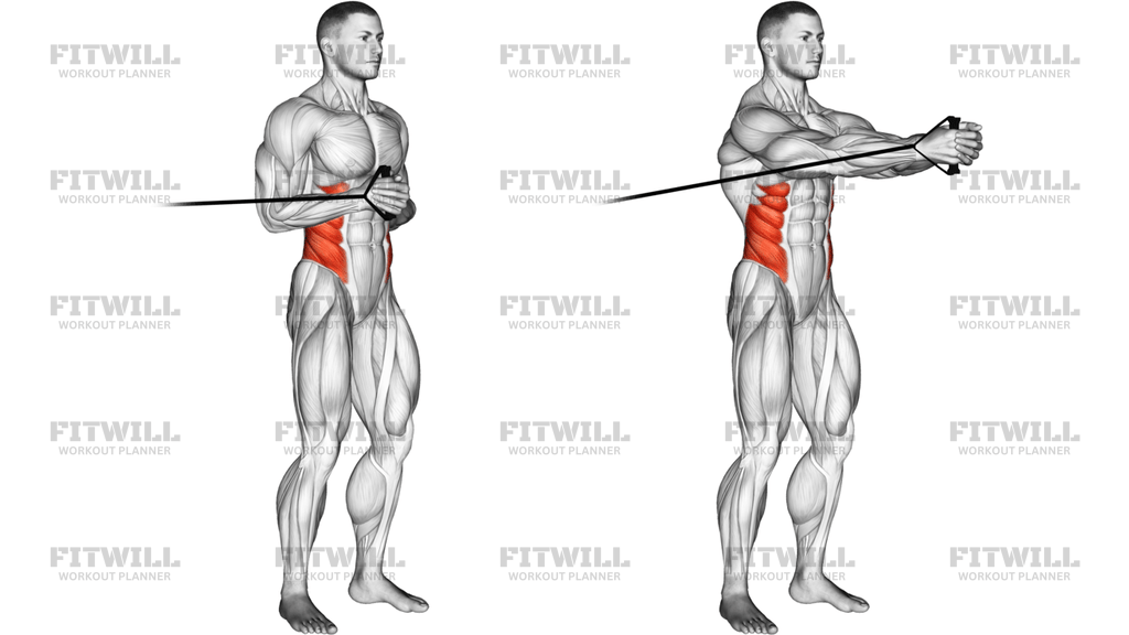 Band Horizontal Pallof Press