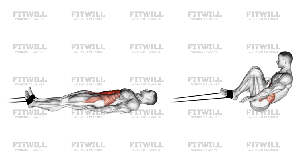 Sit-up A Libro Con Elastico
