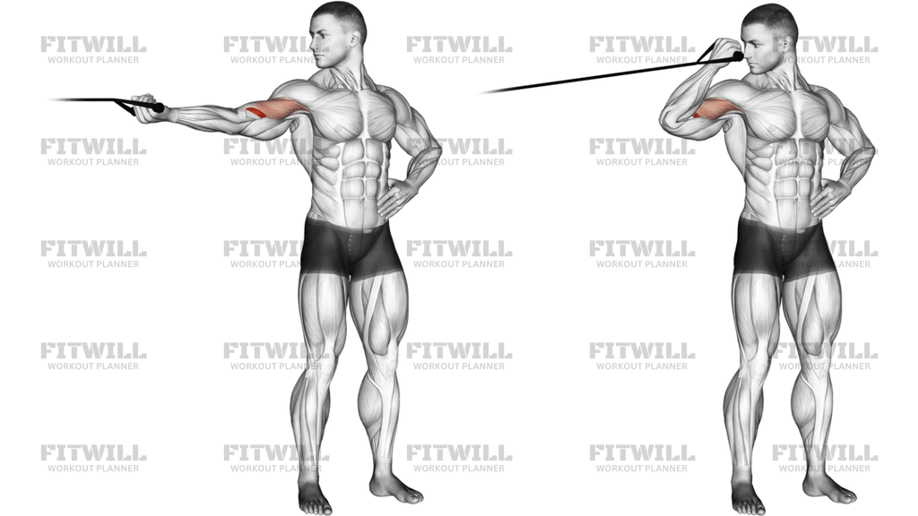 Band One-Arm Overhead Biceps Cur