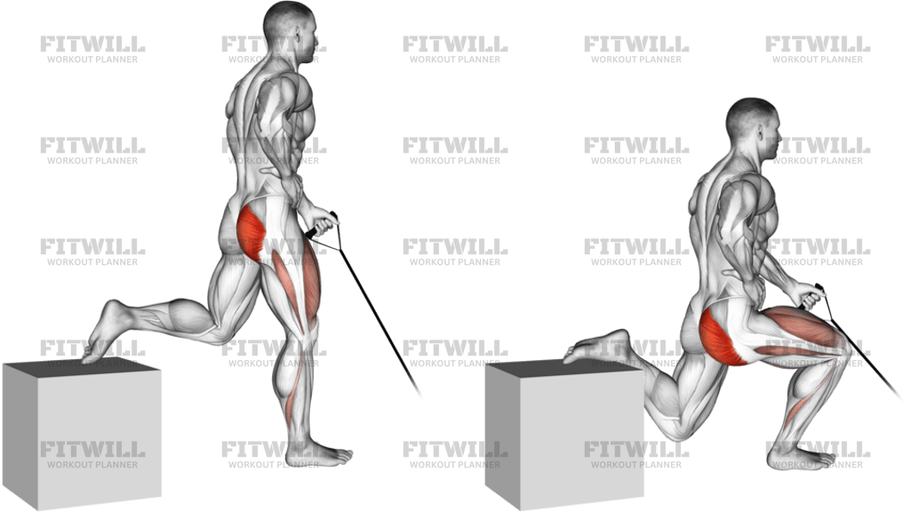 Band One-Arm Single Leg Split Squat