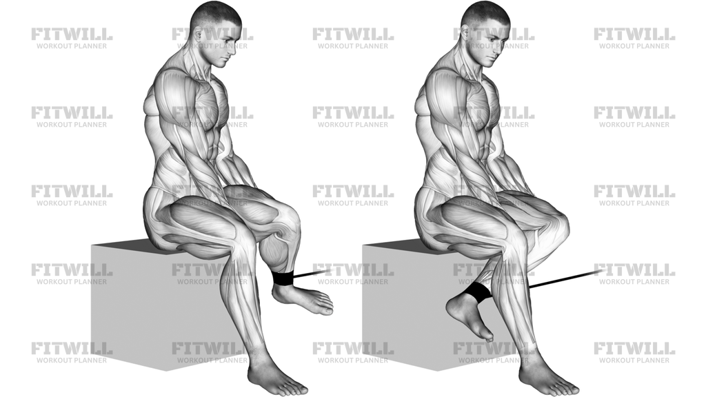 Band Seated Hip External Rotation
