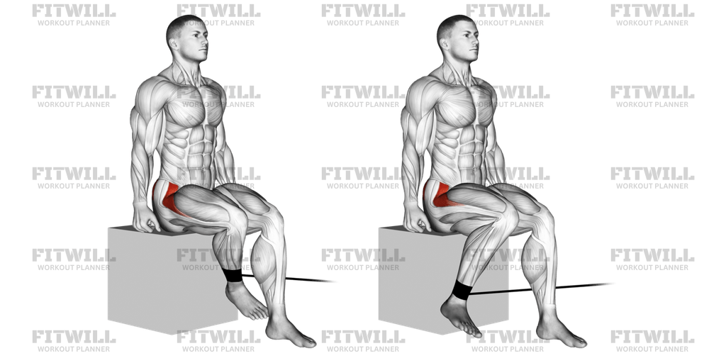 Band seated hip internal rotation exercise guide video techniques