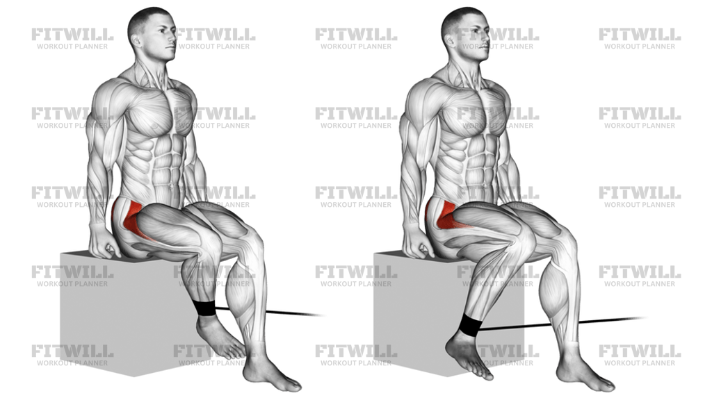 Band Seated Hip Internal Rotation: Exercise Guide, Video, Techniques ...