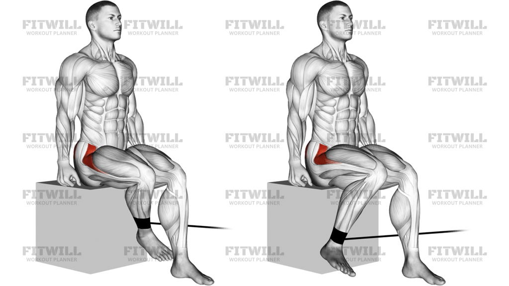 Band Seated Hip Internal Rotation