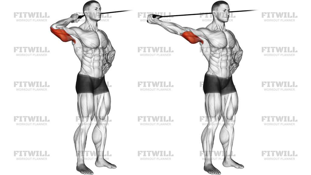 Band Side Triceps Extension