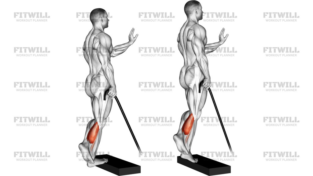 Band Single Leg Calf Raise