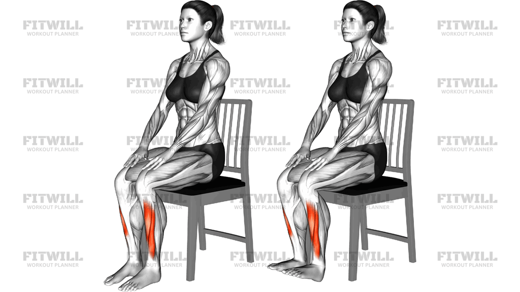 Sitting Ankle Dorsi Flexion