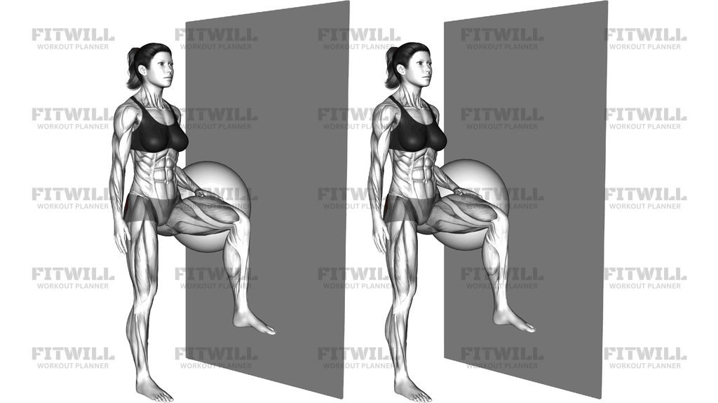 Standing Gluteus Medius Press Against Ball
