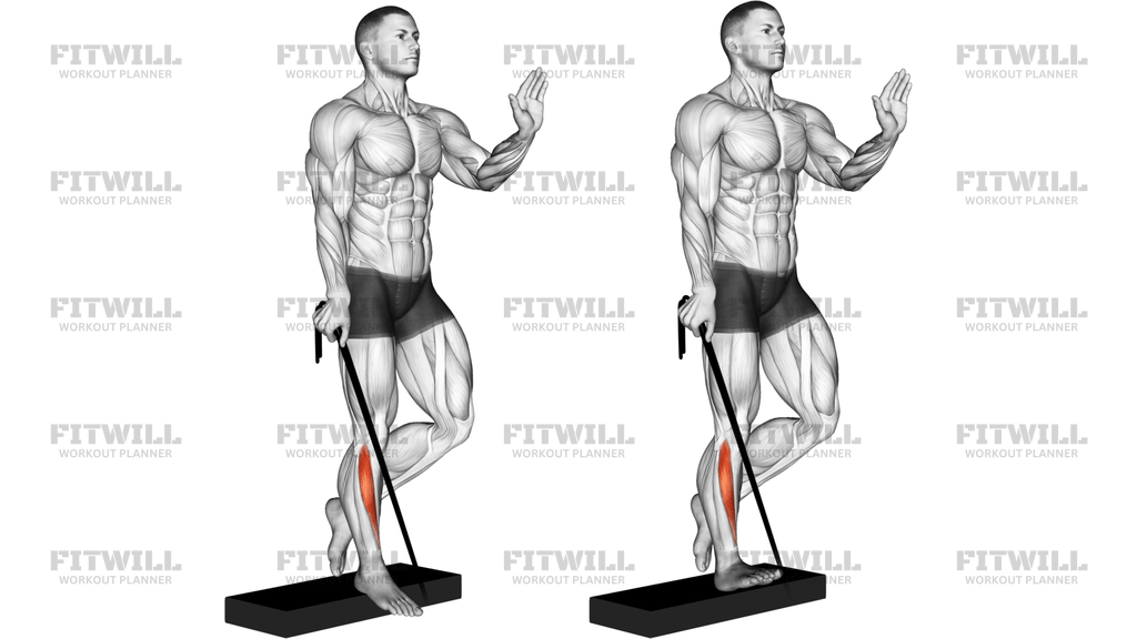 Band Single Leg Reverse Calf Raise