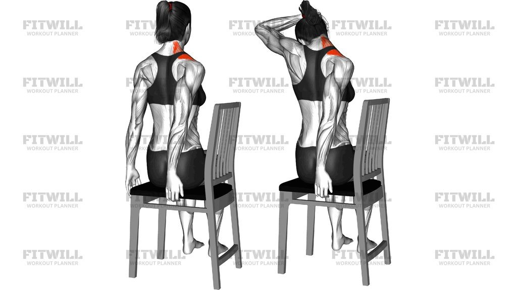 Sitting Neck Rotation Stretch