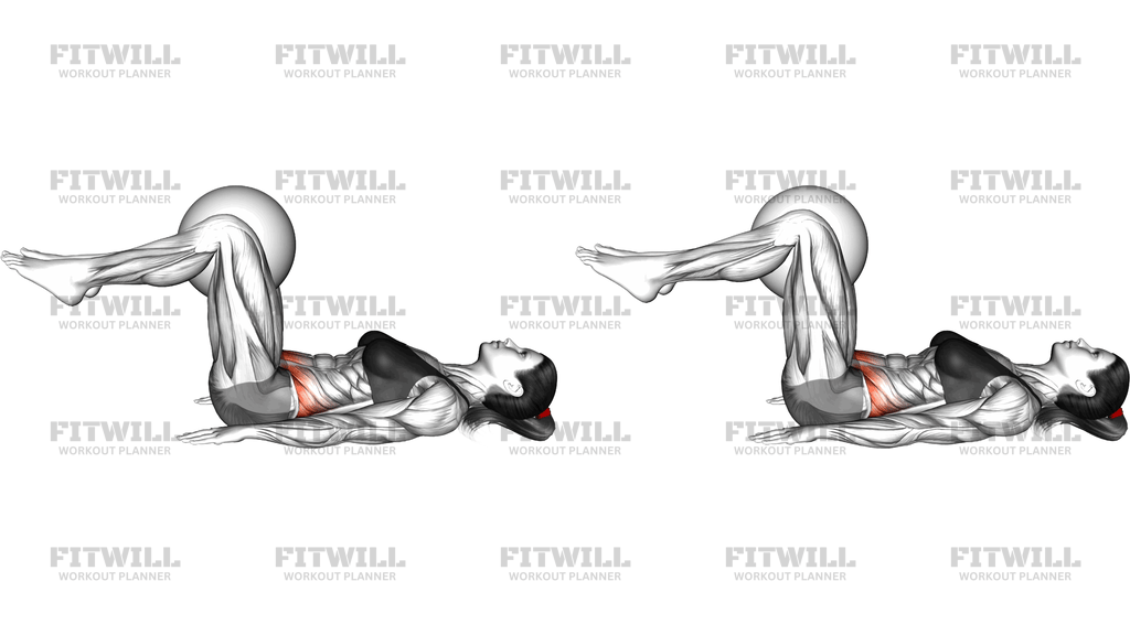 Ball Assisted Lying 90 Degrees Bent Knee Hip Addu