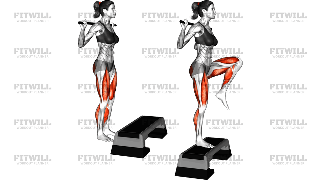 Stick Step Up Knee Raise On Stepbox