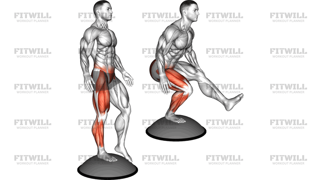 Bosu Ball Balance Single Leg Squat