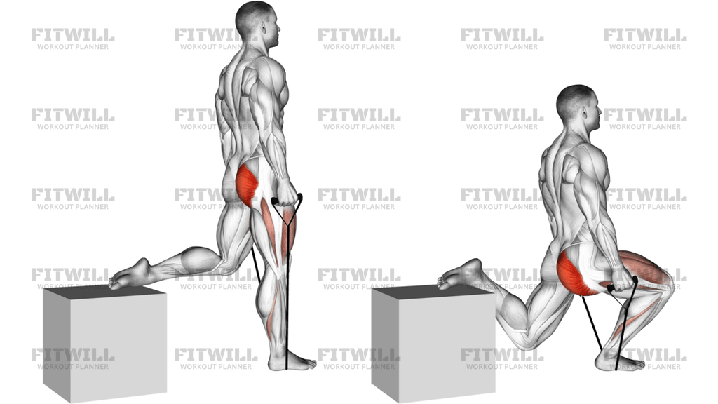 Band Single Leg Split Squat