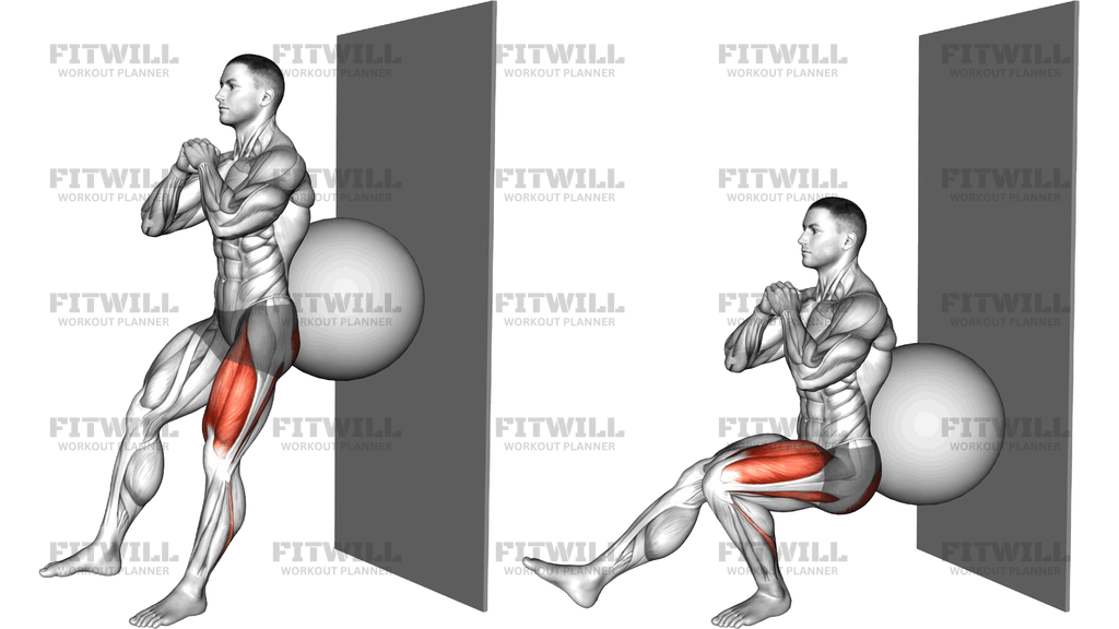 Stability Ball Isometric Single Leg Squat