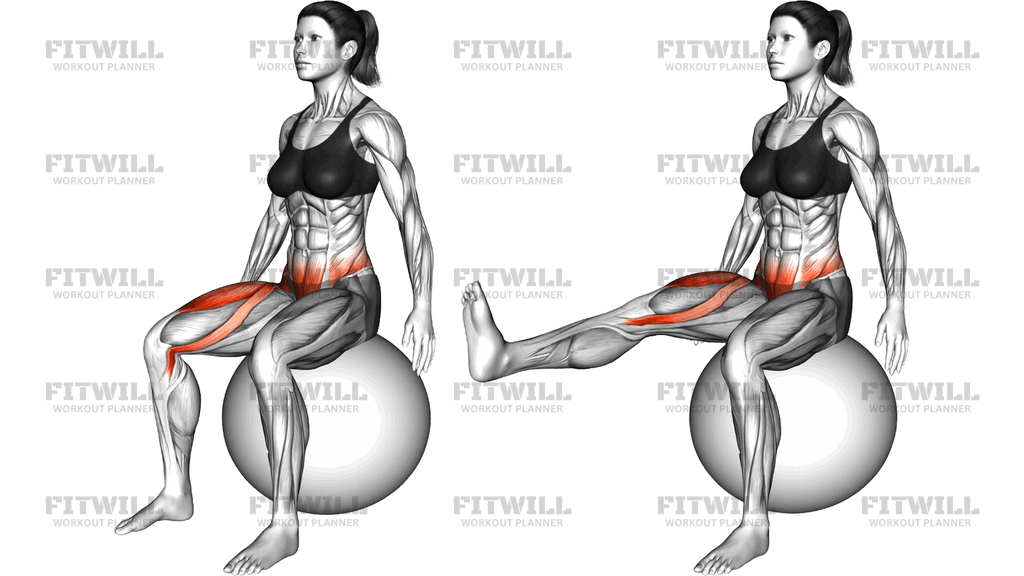Stability Ball Sitting Balance Knee Extension