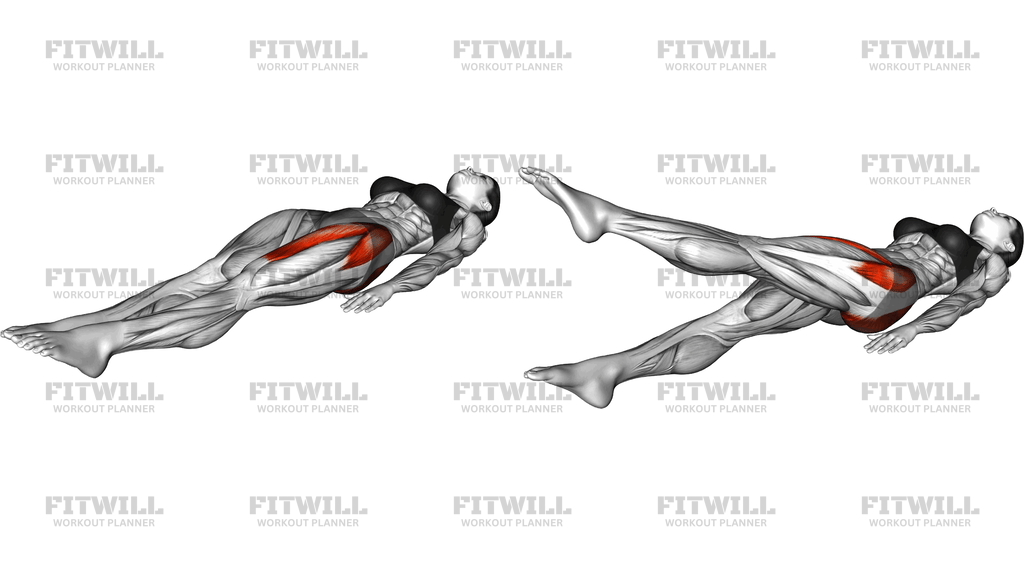 Lying Supine Single Leg Circle