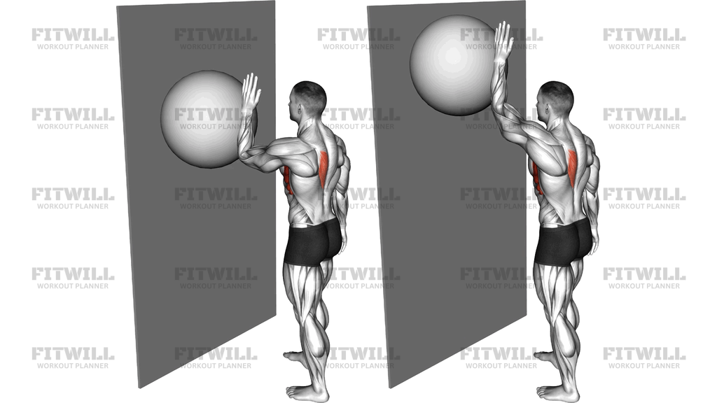 Exercise Ball Serratus Wall Single Leg Slide